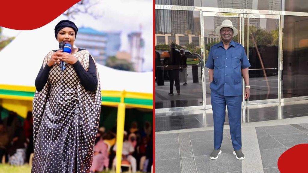 Karen Nyamu dit qu'elle se cacherait pendant qu'elle jouait la chanson Tibim de Raila Odinga : "Nisionekane"