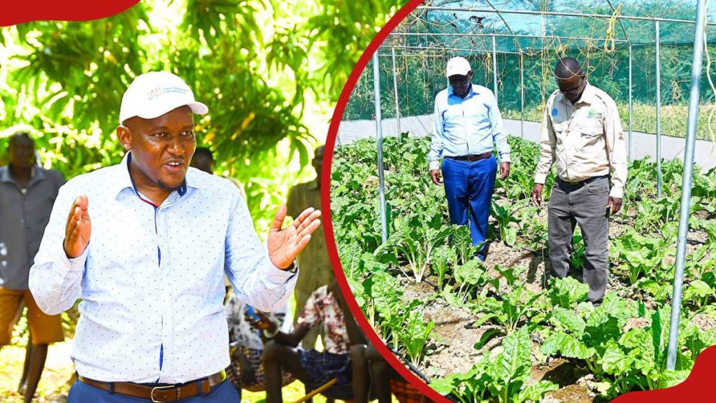 Le gouvernement de William Ruto va transformer Turkana en un centre agricole clé avec des projets de méga barrages