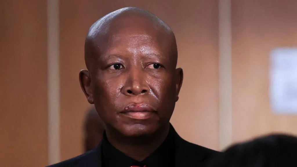 L'opposant sud-africain Malema condamné à cinq ans de prison