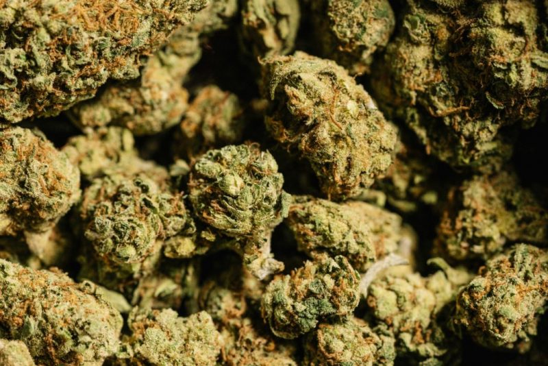 Cinq arrêtés pour trafic de 360 ​​kg de dagga