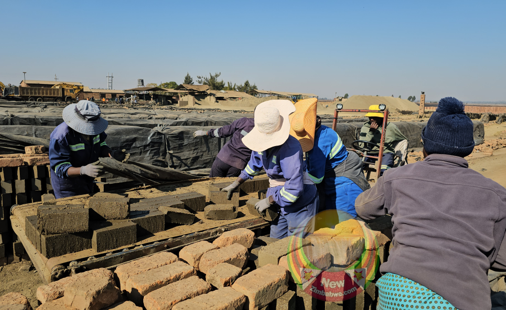 L'OIT félicite les travailleurs zimbabwéens pour leur résilience face aux difficultés