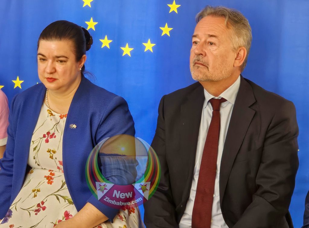 L'UE dévoile une aide de 7,8 millions d'euros pour le secteur horticole du Zimbabwe