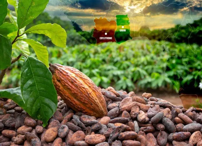 Cacao