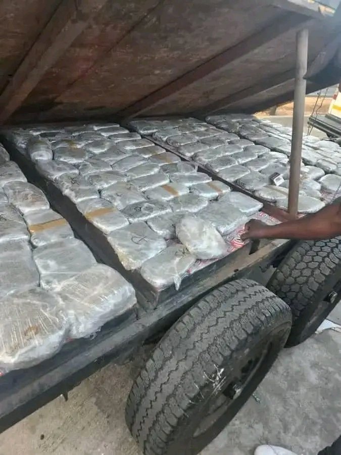 Un homme arrêté alors qu'il tentait de faire passer clandestinement de la drogue et des substances d'une valeur de 12 000 dollars à travers la frontière
