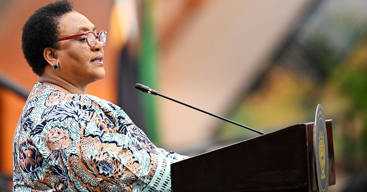 Didiza examine le contenu de la proposition de Ramaphosa d'interdire la procédure de destitution