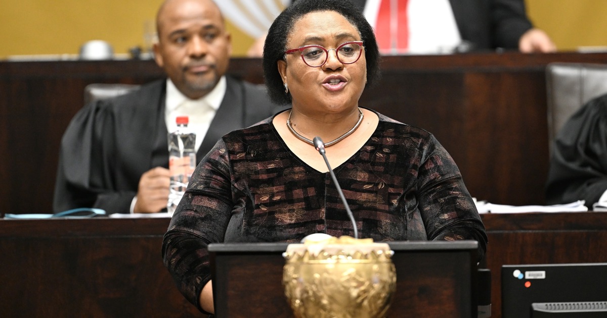 Didiza refuse de s'opposer à l'interdiction du président contre l'enquête de destitution