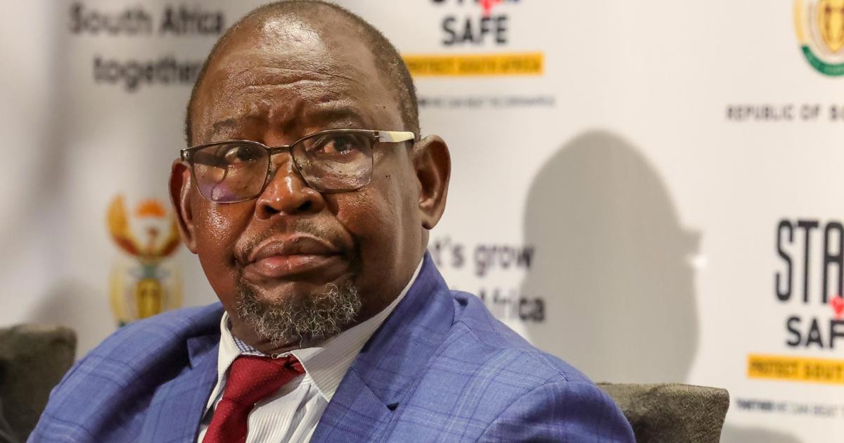 Godongwana garde le silence sur l'enquête sur le SRAS sur le vol de Phala Phala