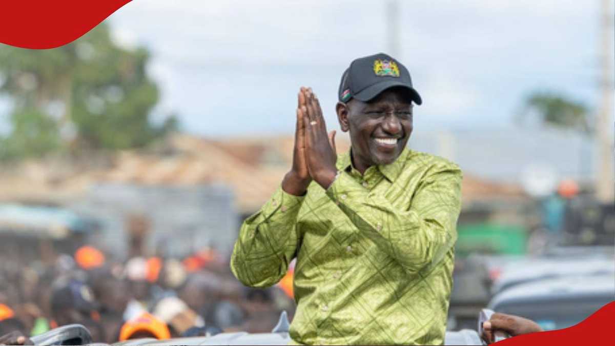Journée Madaraka : les résidents de Wajir offrent 100 chameaux à William Ruto pour célébrer son leadership