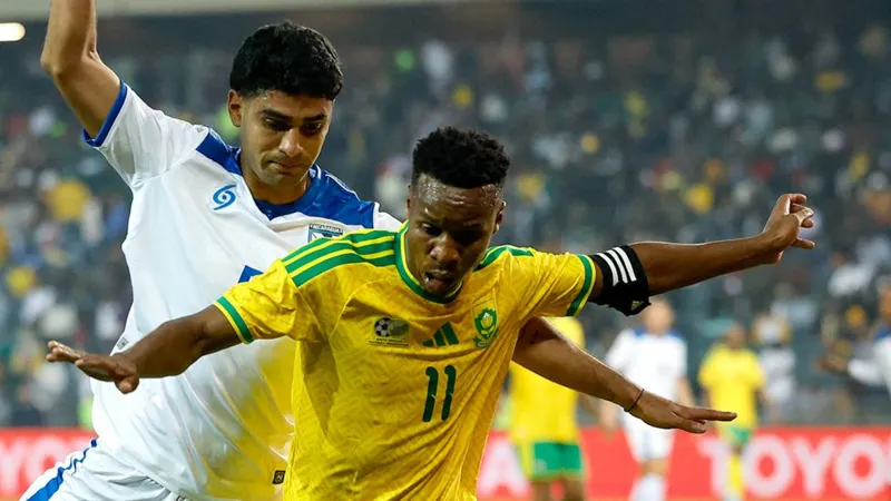 L'Afrique du Sud passe pour un imbécile à cause des problèmes de visa pour la Coupe du monde, selon le ministre