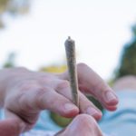 L'Université de Stellenbosch interdit la consommation de cannabis dans les résidences étudiantes