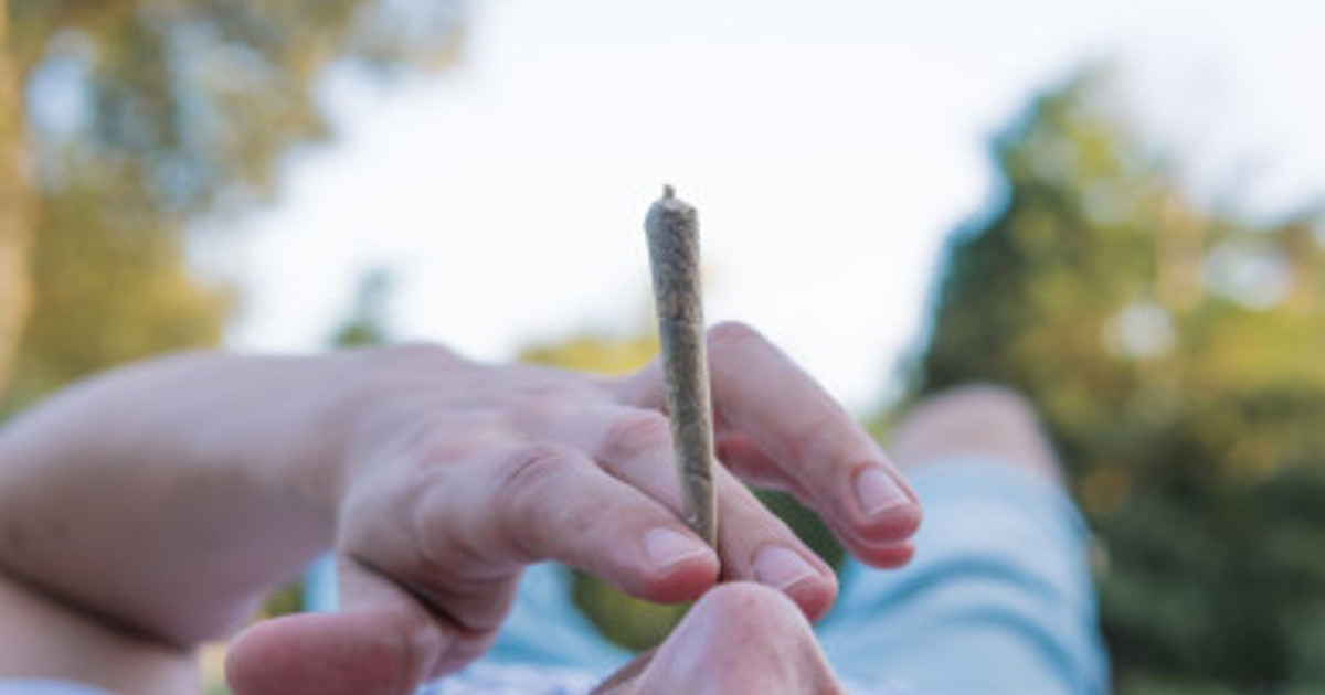 L'Université de Stellenbosch interdit la consommation de cannabis dans les résidences étudiantes
