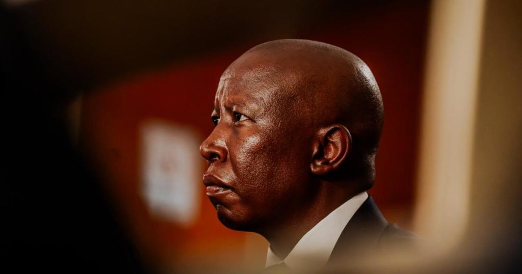 L'affaire de diffamation de Malema contre Kunene, d'un million de rands, radiée du rôle