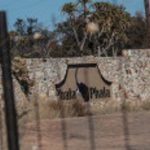 Le ministre des Finances interrogé sur l'enquête sur le SRAS concernant l'acheteur de bisons de Phala Phala