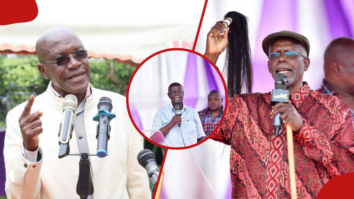 Le sénateur Boni Khalwale dénonce les anciens de Luhya pour leurs appels à l'unité avant 2027 : « Donnez-nous une pause »