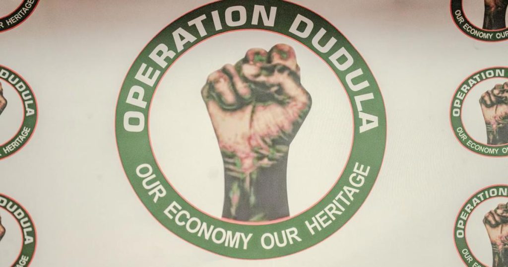 Manifestations du 30 juin : l’opération Dudula entre en lice à Joburg