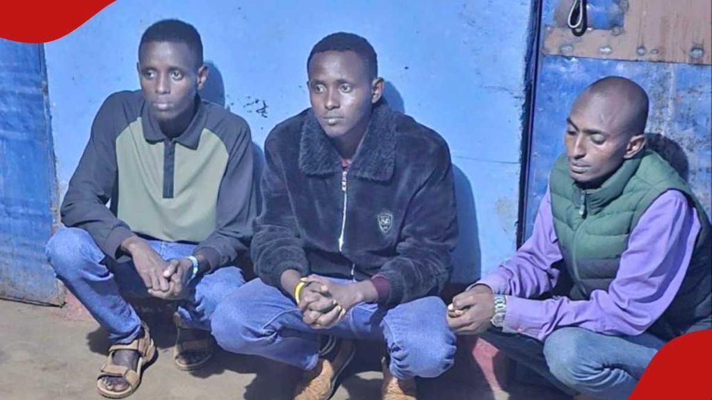 Marsabit : DCI arrête 3 suspects en possession de 13 défenses d'éléphant