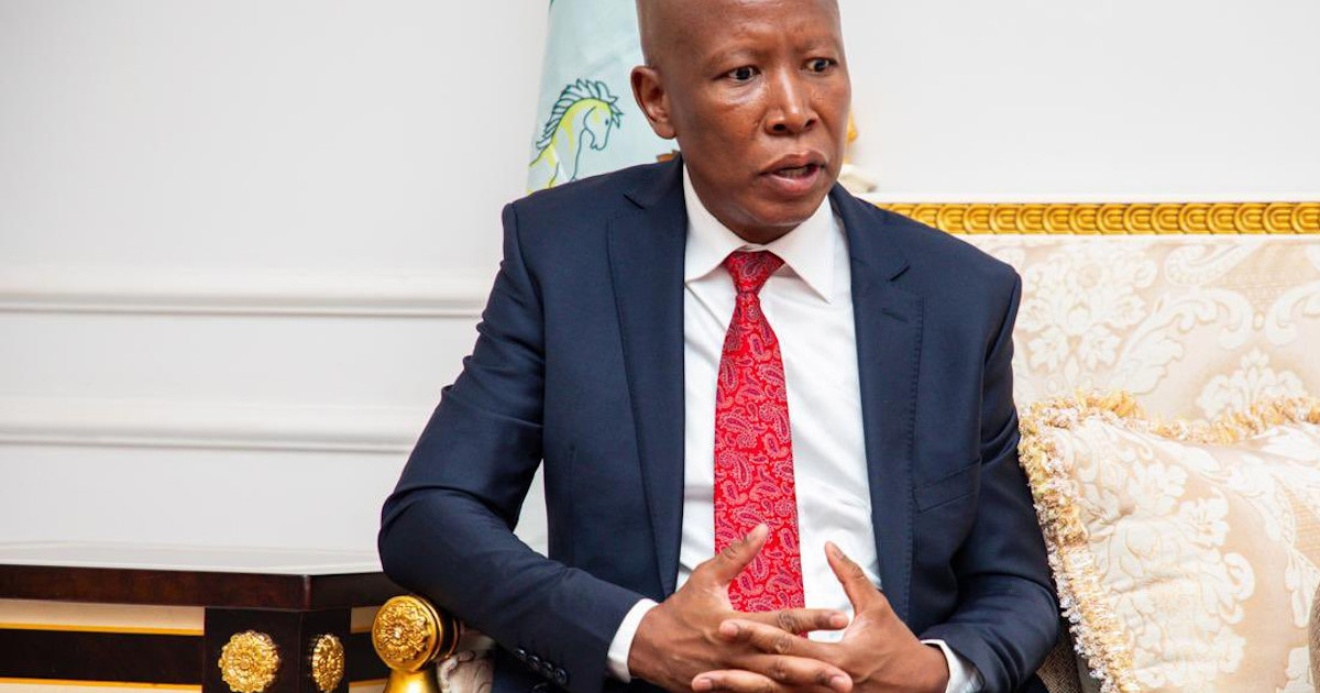 Un affidavit explosif de la Commission Madlanga allègue des liens entre le haut policier des renseignements criminels et Malema