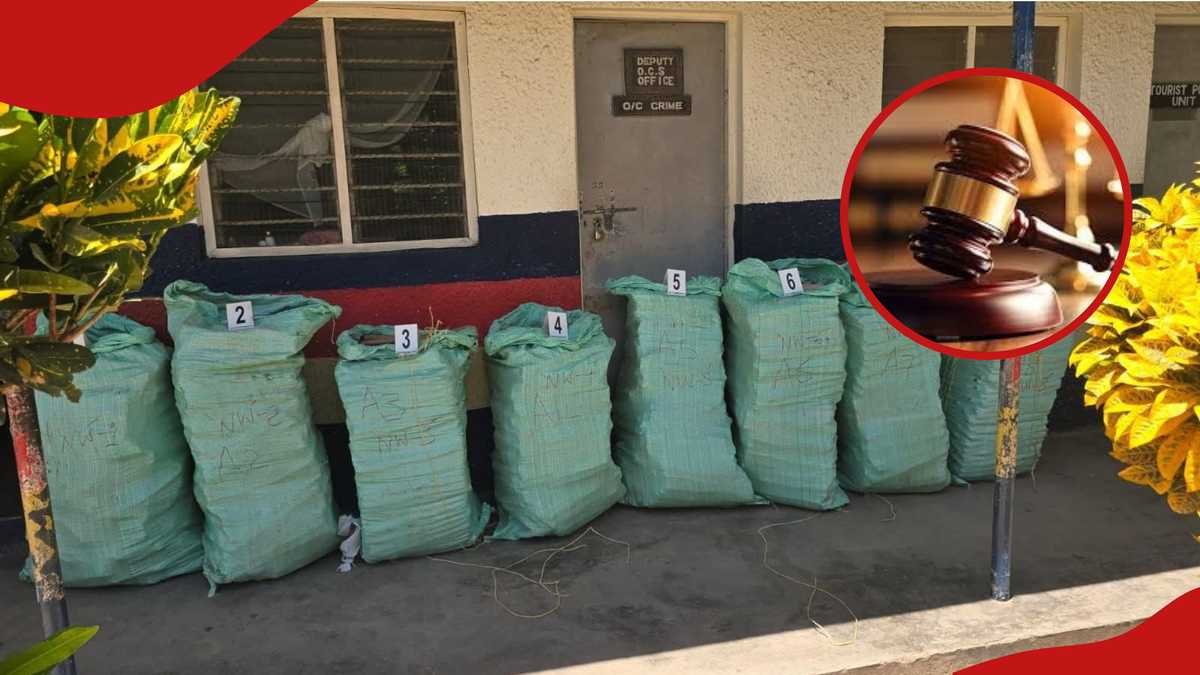 Un chauffeur tanzanien inculpé devant le tribunal de Mombasa pour avoir transporté du Bhang d'une valeur de 10 millions de KSh