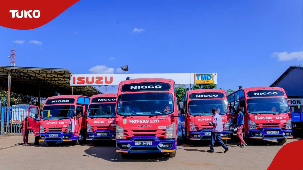 Victoire pour Nicco Movers Sacco alors que le tribunal rétablit la licence révoquée suite au décès d'un étudiant du KMTC