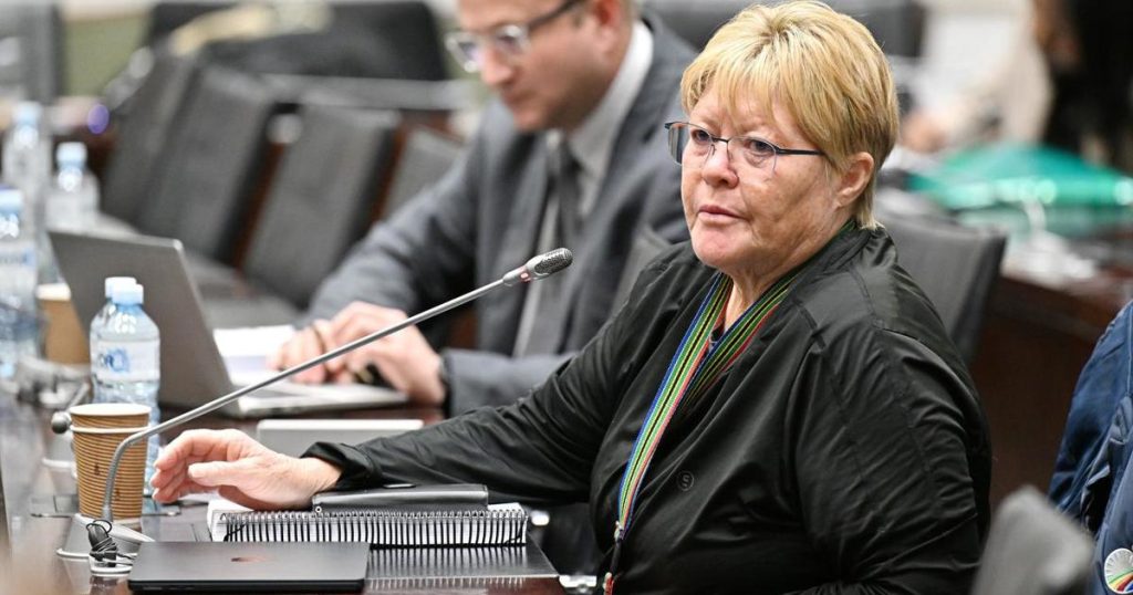 Breytenbach du DA affirme que la commission ad hoc du Parlement n'a aucun pouvoir pour déclarer les gens coupables