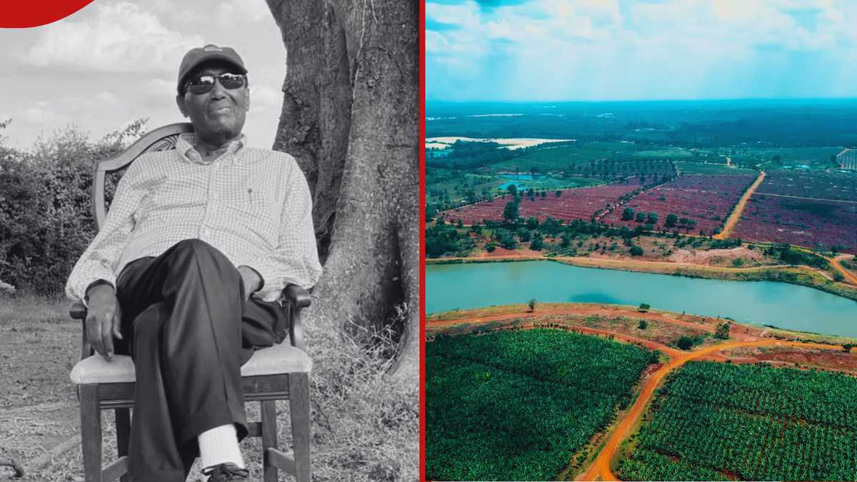 Ferme Bendor : à l'intérieur de la ferme Thika de 1 000 acres où Chris Kirubi a été enterré