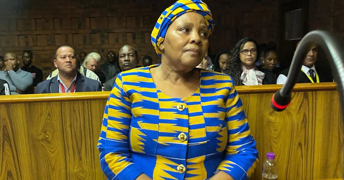 La Haute Cour de Pretoria entend comment Mapisa-Nqakula aurait exigé un pot-de-vin de 2 millions de rands