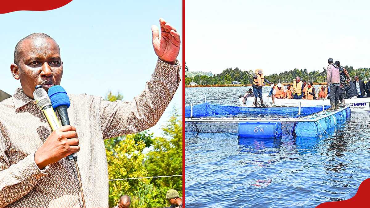 Le barrage de Gwa Kiongo va irriguer 500 acres alors que le gouvernement relance 150 barrages de Nyandarua