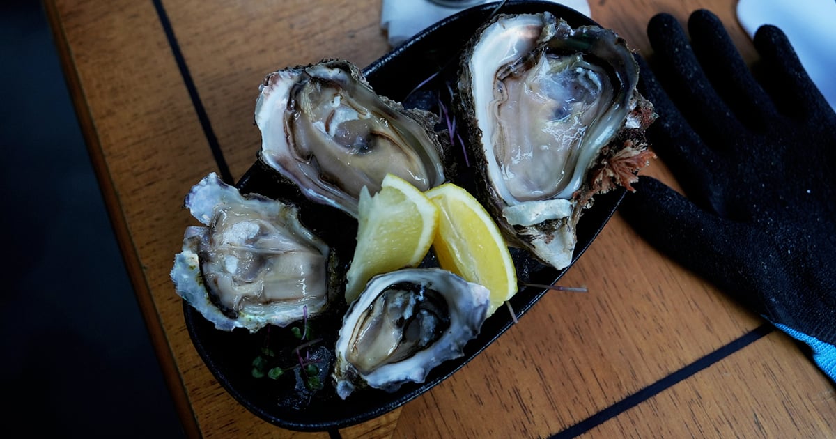 Les moules et les huîtres de la baie de Saldanha sont à nouveau déclarées propres à la consommation