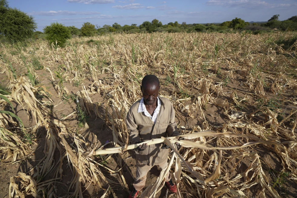 Le gouvernement du Zimbabwe s'associe à l'UNICEF et à la Chine dans le cadre d'un programme biennal de résilience à la sécheresse
