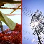 L'électricité transforme les usines de Kericho et les coopératives de café à mesure que les entreprises étendent leurs opérations