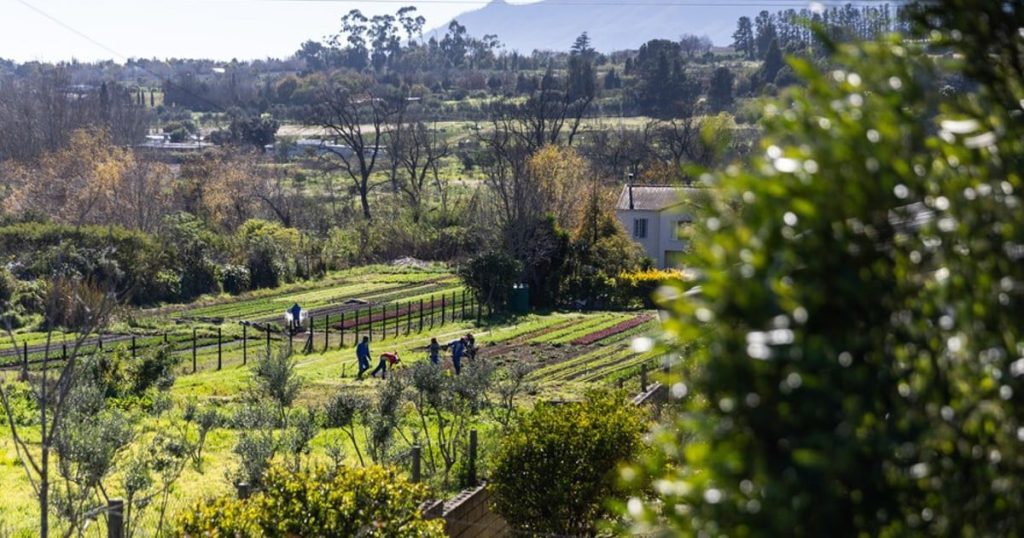 Les habitants de Stellenbosch s'opposent à un nouveau domaine de luxe