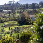 Les habitants de Stellenbosch s'opposent à un nouveau domaine de luxe