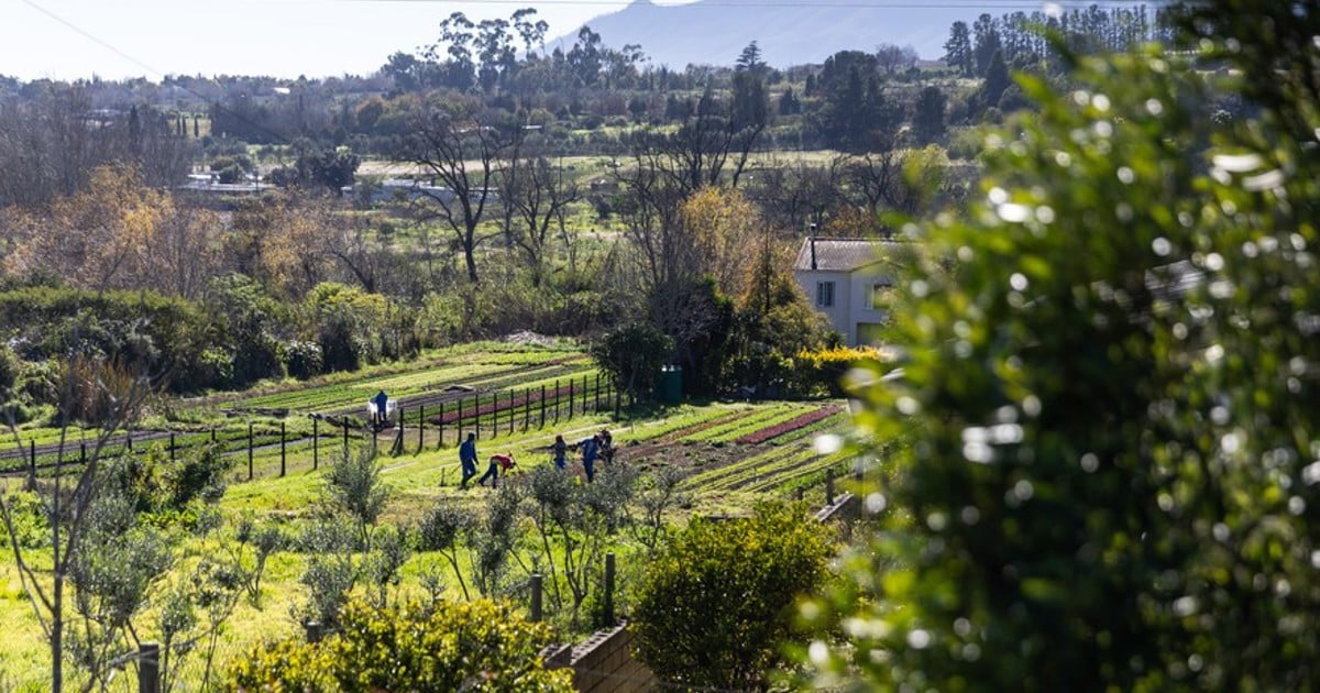 Les habitants de Stellenbosch s'opposent à un nouveau domaine de luxe