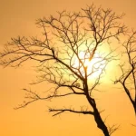 Un Super El Niño approche : 5 leçons durement gagnées que le monde peut tirer de l’Afrique