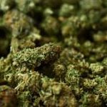 Un chauffeur de camion s'enfuit de la garde à vue après la saisie de sirop contre la toux, dagga