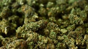 Un chauffeur de camion s'enfuit de la garde à vue après la saisie de sirop contre la toux, dagga