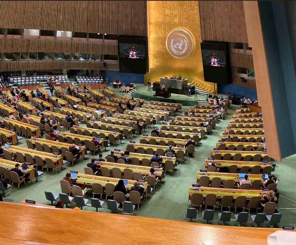 AGNU : Mnangagwa présente l'agenda du Zimbabwe au Conseil de sécurité dans un auditorium presque vide