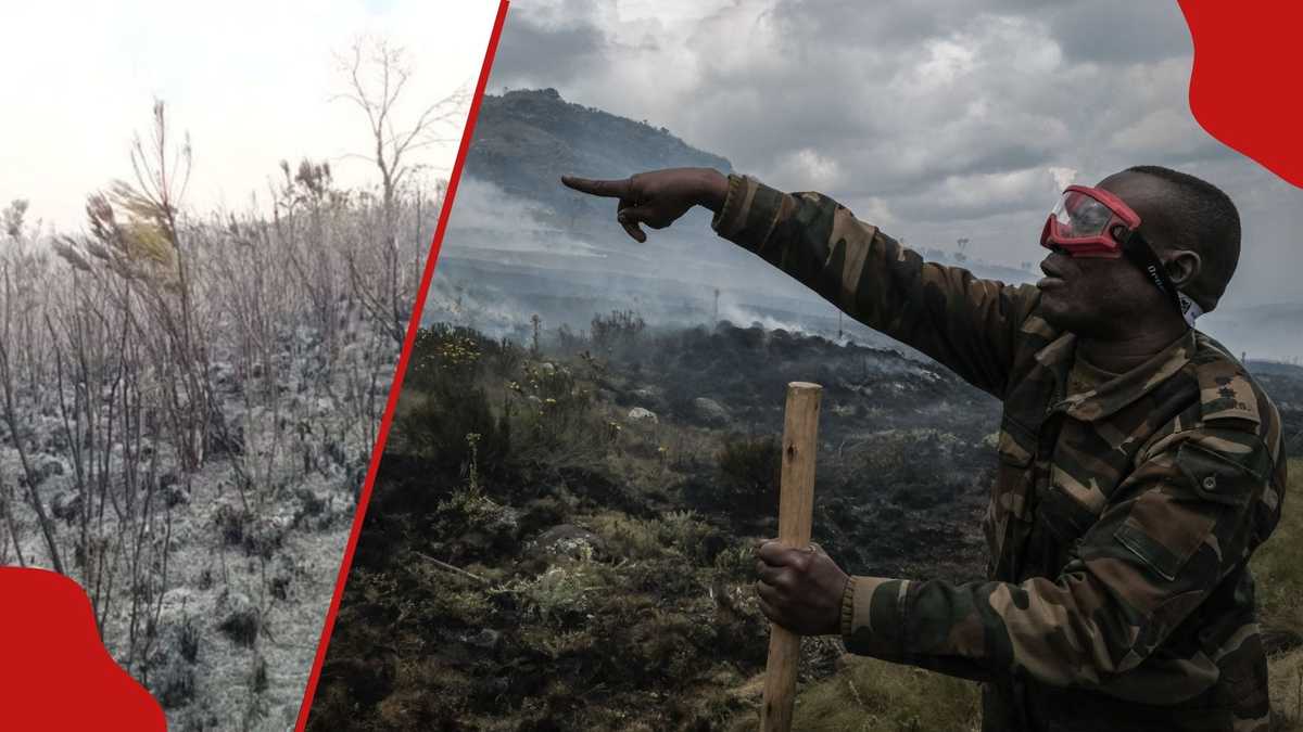 Aberdare Forest Inferno : un incendie ravage des centaines d'acres pour le quatrième jour