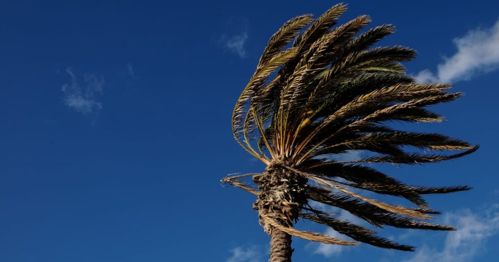 Des conditions météorologiques perturbatrices devraient frapper les côtes du Cap occidental et oriental au début de la semaine prochaine.