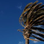 Des conditions météorologiques perturbatrices devraient frapper les côtes du Cap occidental et oriental au début de la semaine prochaine.