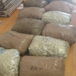La police sud-africaine saisit du Mandrax d'une valeur de 2,05 millions de rands auprès d'un camionneur zimbabwéen