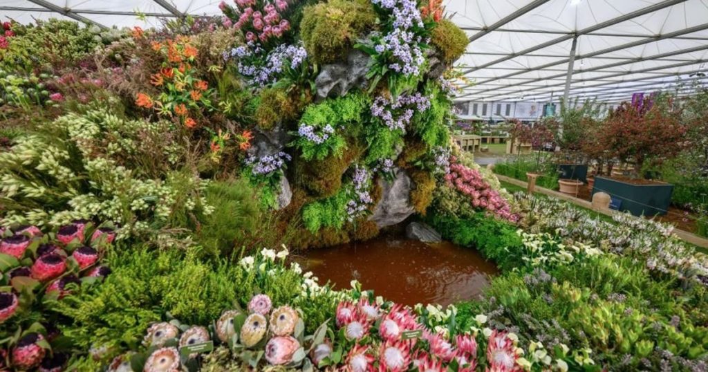 La vie après l'incendie : l'exposition primée du Chelsea Flower Show de SA recréée à Stanford