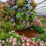 La vie après l'incendie : l'exposition primée du Chelsea Flower Show de SA recréée à Stanford