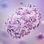 Les autorités sanitaires du Cap-Occidental intensifient leurs efforts de surveillance et de vaccination contre la Mpox à mesure que les infections augmentent