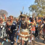 Puissions-nous aussi avoir une journée du roi Mzilikazi - dit le célèbre Zenzo Nyathi d'Amakorokoza