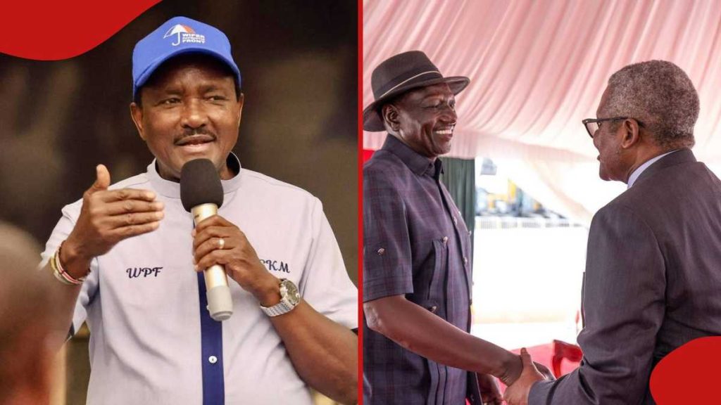 Kalonzo Musyoka salue l'investissement d'Aliko Dangote dans une raffinerie au Kenya : « Je suis si heureux »
