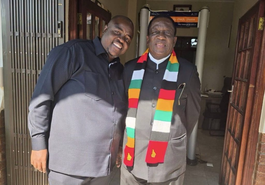 La famille Chivayo fait appel à Mnangagwa pour protéger l'héritage de ses enfants