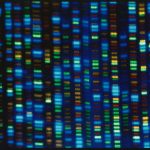 La recherche africaine en génomique se développe : ce que font les pays pour connecter les données génétiques et les soins de santé