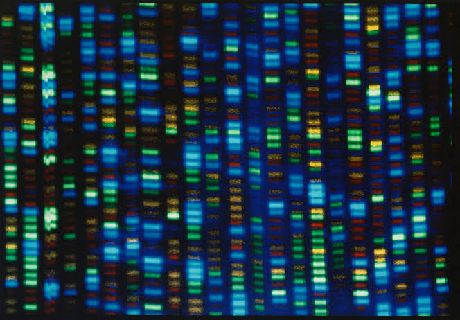 La recherche africaine en génomique se développe : ce que font les pays pour connecter les données génétiques et les soins de santé