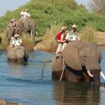 Les arrivées de touristes au Zimbabwe diminuent de 17 % au premier trimestre